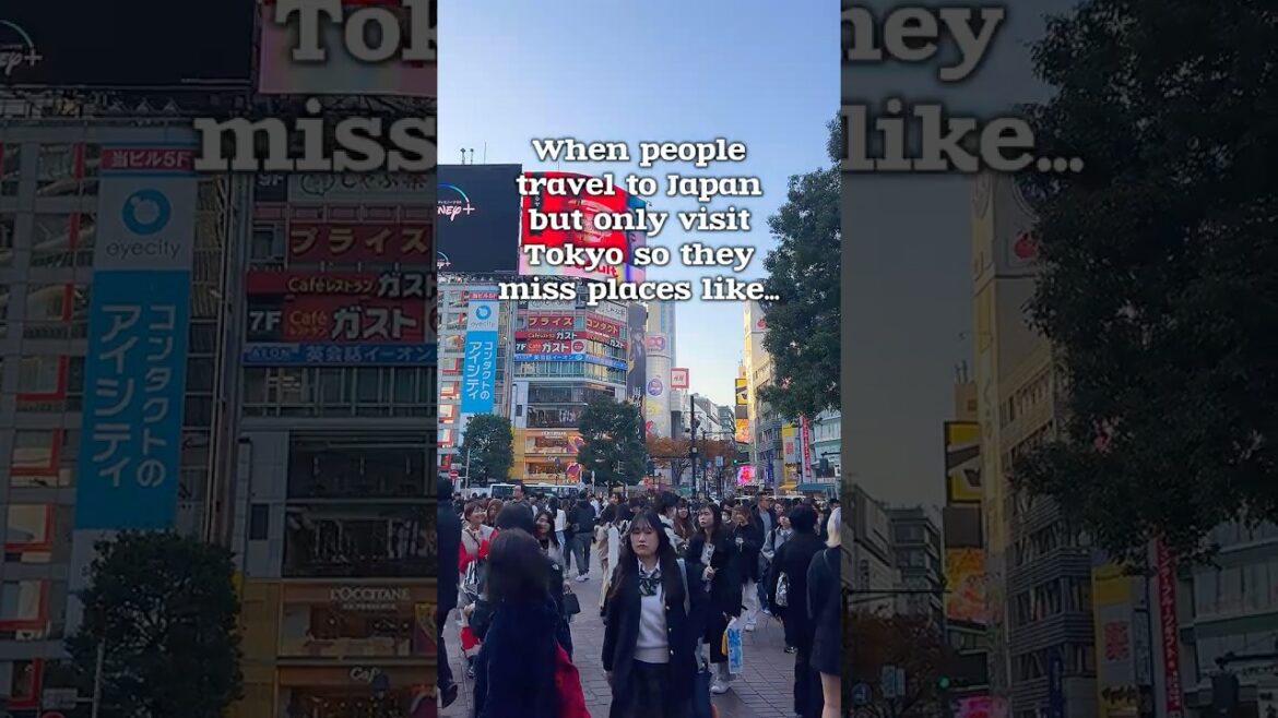 Japan Hidden Gems (save this list!)