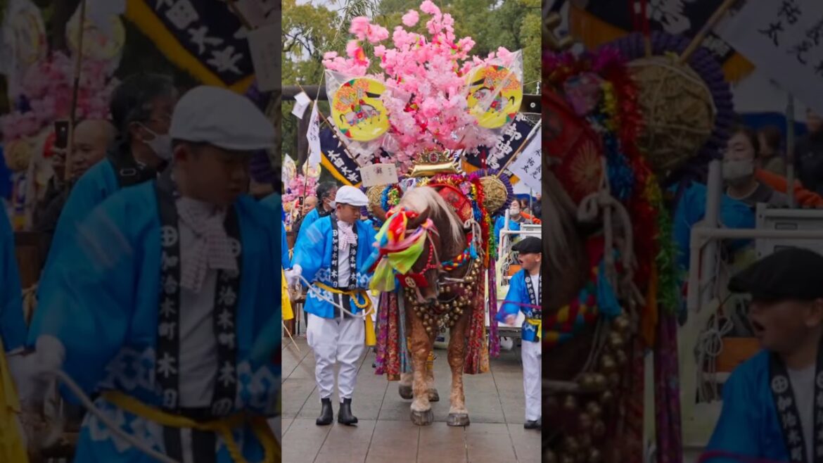 The Vibrant Horse Dancing, Hatsuuma Festival (初午祭) at Kagoshima, Japan! The Vibrant Horse Dancing, Hatsuuma Festival (初午祭) at Kagoshima, Japan!