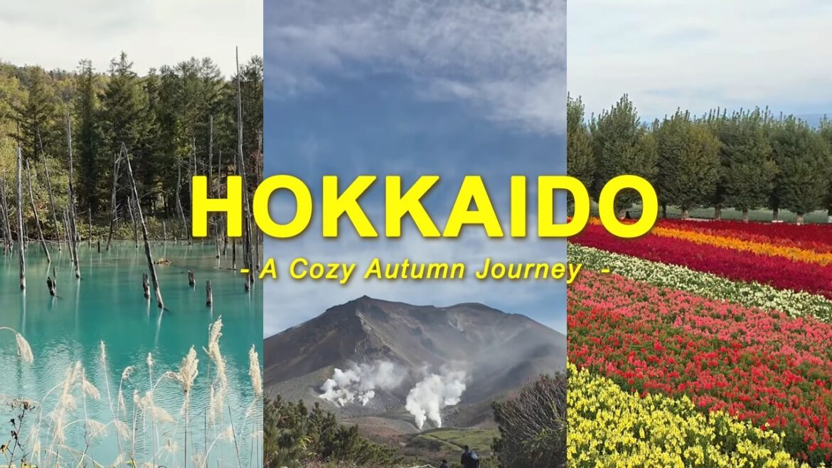 Cozy Autumn Journey in HOKKAIDO, 3D3N | Furano, Biei, Daisetsuzan Asahikawa | Voiceless, Slow Travel