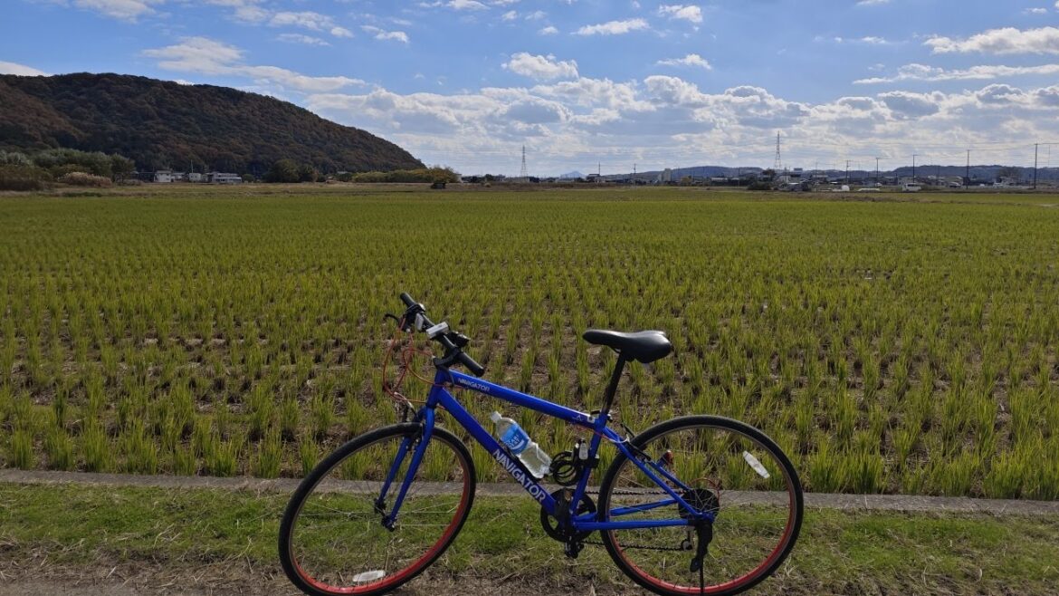 Farms, Ancient Burial Mounds, and Peaceful Autumn Japanese Countryside: Kibi Plain Cycling Farms, Ancient Burial Mounds, and Peaceful Autumn Japanese Countryside: Kibi Plain Cycling