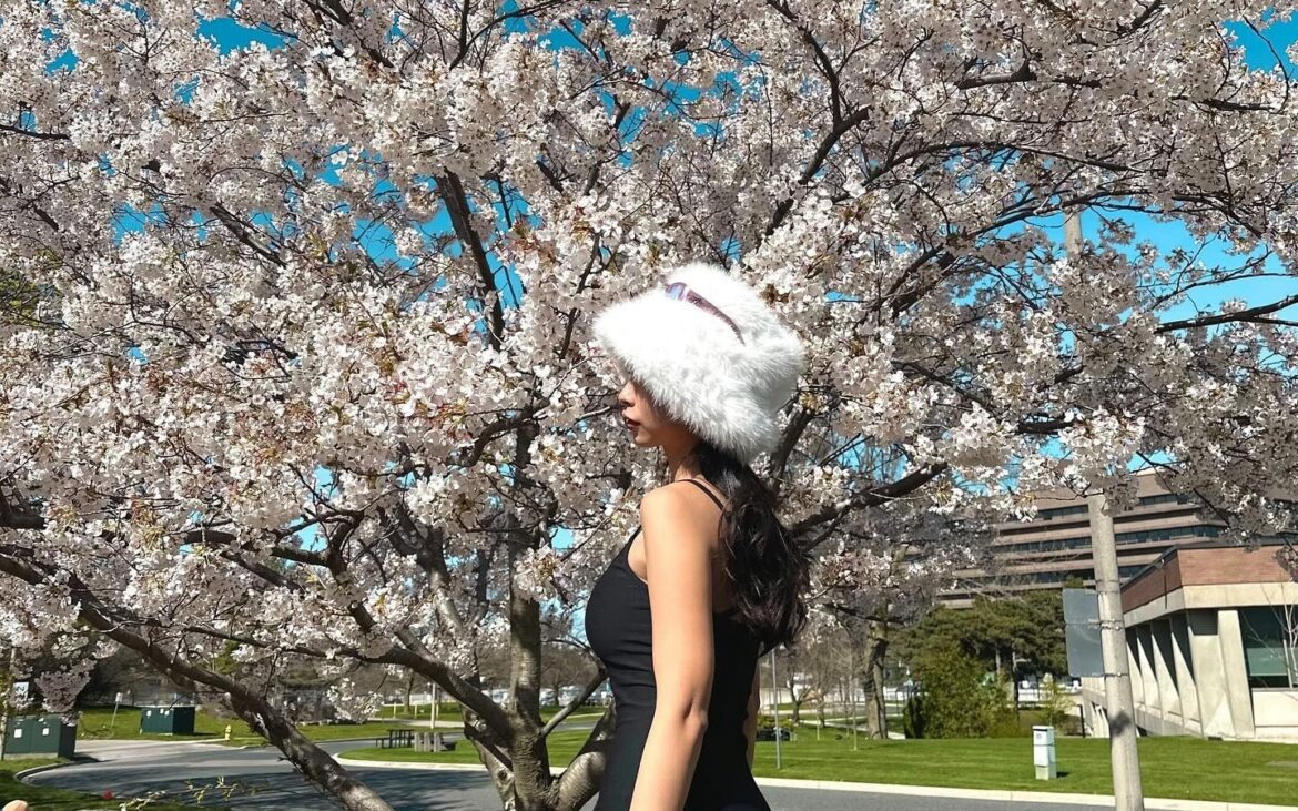 Hoping to catch a glimpse of the cherry blossom blooms this year? Here