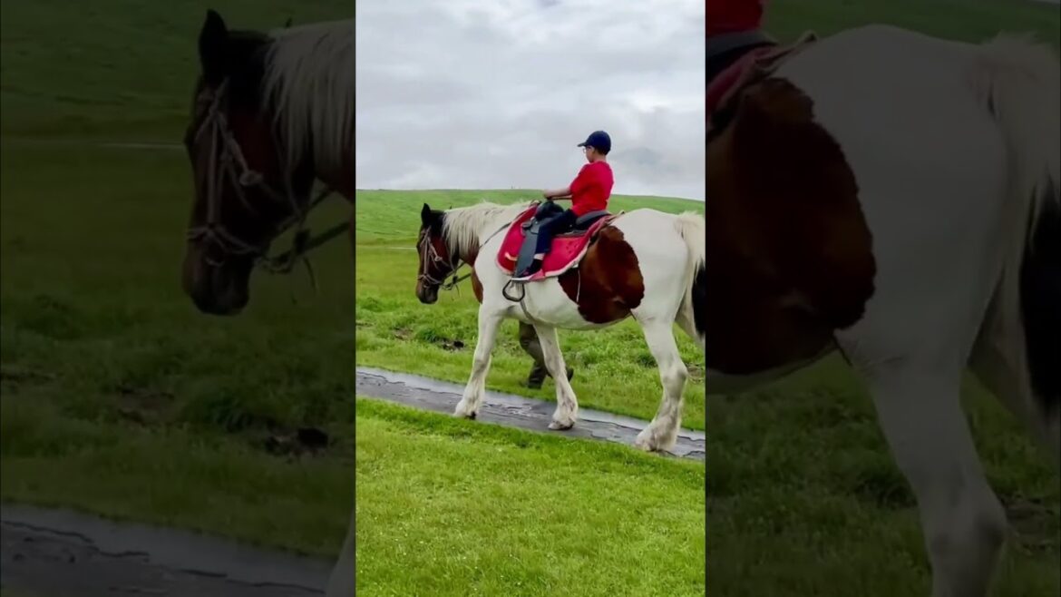 These locations in Kyushu are real.#kyushu  #aso  #scenery  #photogenic  #japantravel