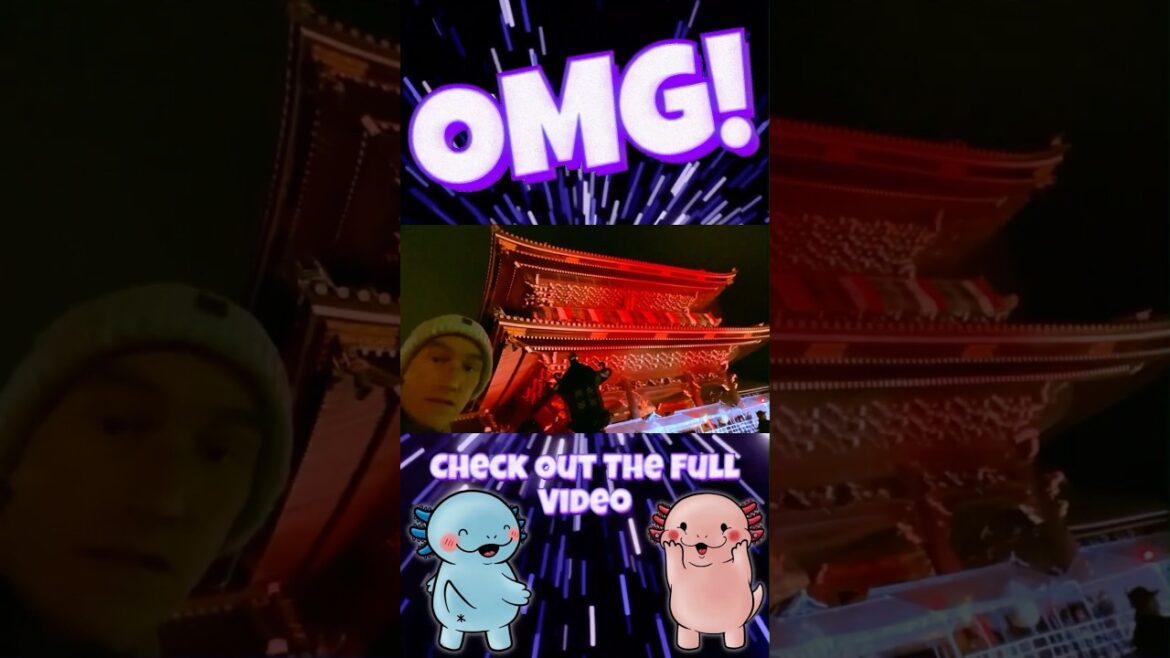 Incredible Music Preferences In Kyoto Japan! #japan #travel #music #kyoto #orchestra