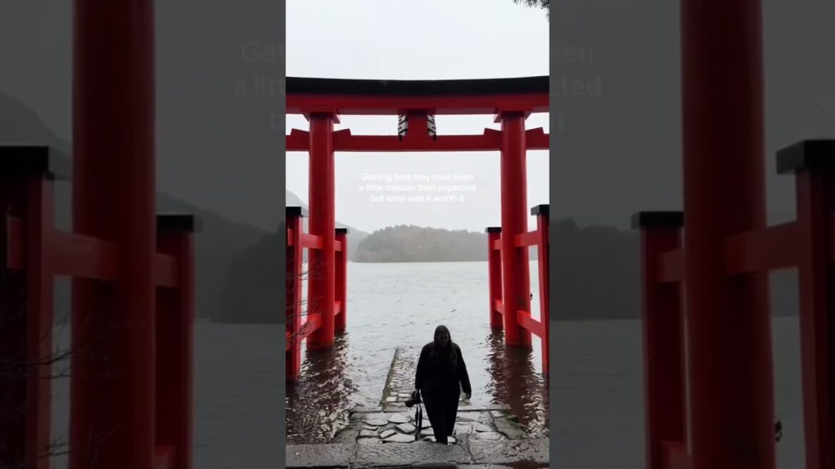 Hakone | Lake Ashi #japan #asiantravel #lofi