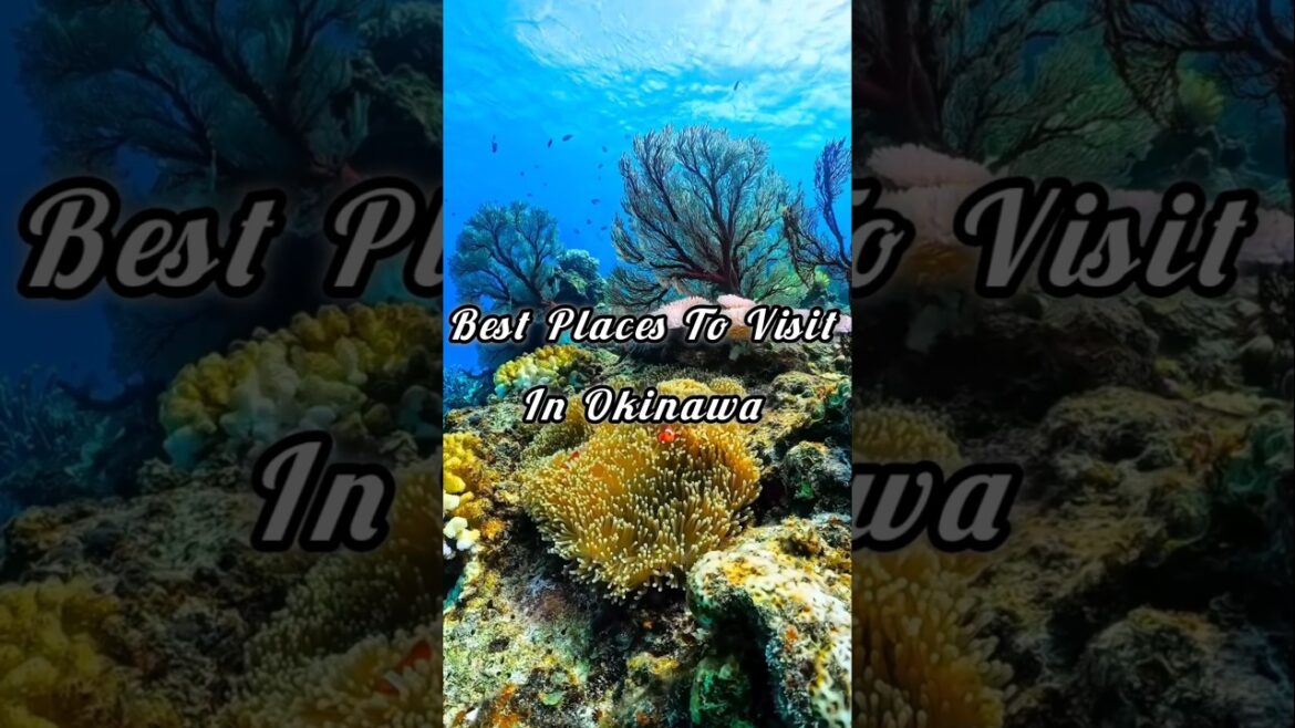 Best places to visit in Okinawa, Japan 🇯🇵 #travel #youtubeshorts #shorts