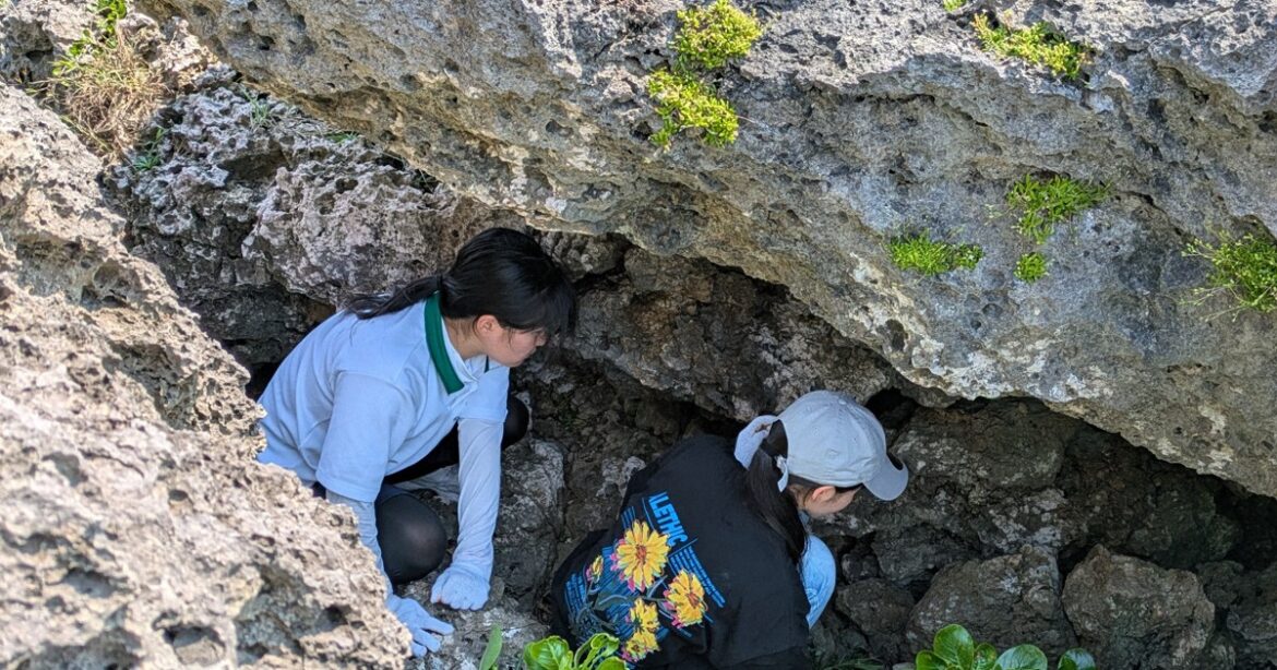 Nagasaki high school students learn about horrific Battle of Okinawa via fieldwork