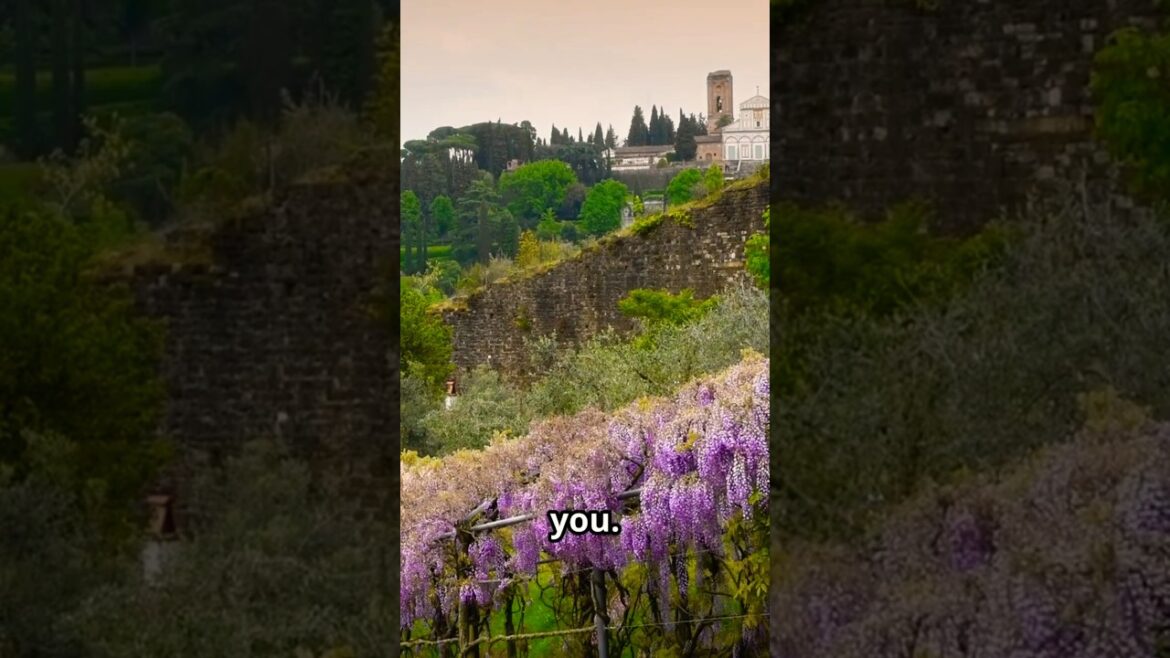 Discover Japan's Magical Wisteria Tunnel #kawachi fuji gardens #wisteria flower tunnel #shortsvideo