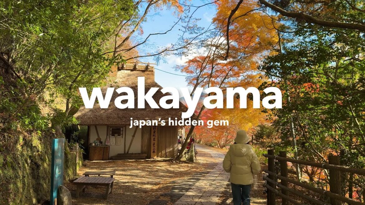 Exploring WAKAYAMA | ghibli-like sceneries, local food & the oldest onsen town | JAPAN VLOG