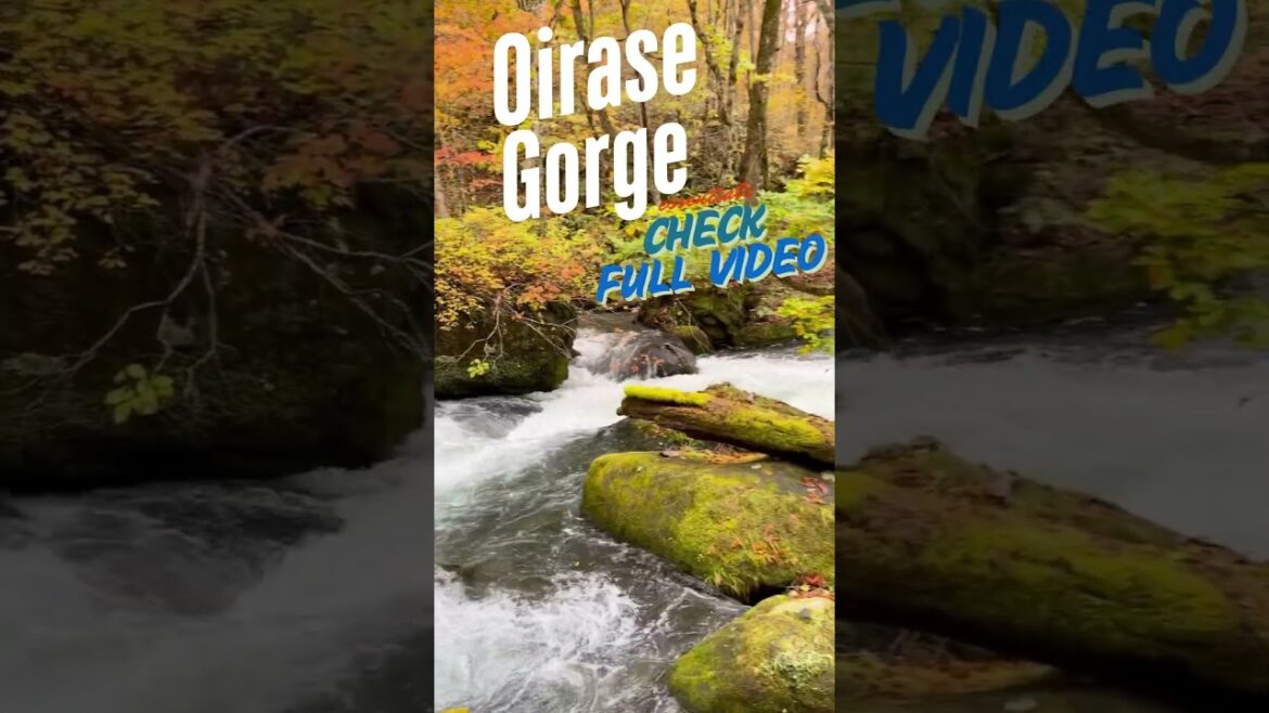 #shorts # Oirase Gorge  #Akita & Aomori #travel