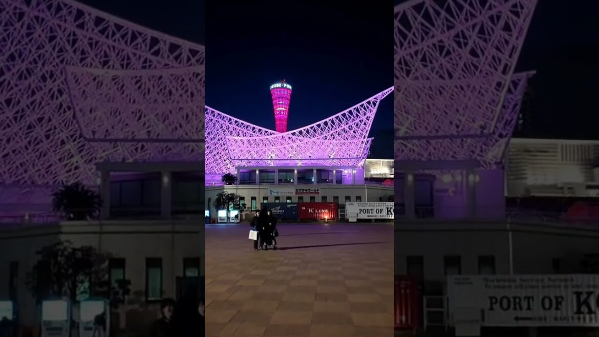 夜の神戸メリケンパーク