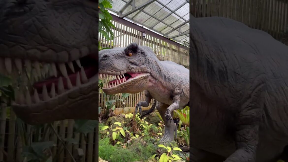 Dinosaur Adventure Tour 恐龍展館2025.03.27 #okinawa #Nago #沖繩 #名護鳳梨園