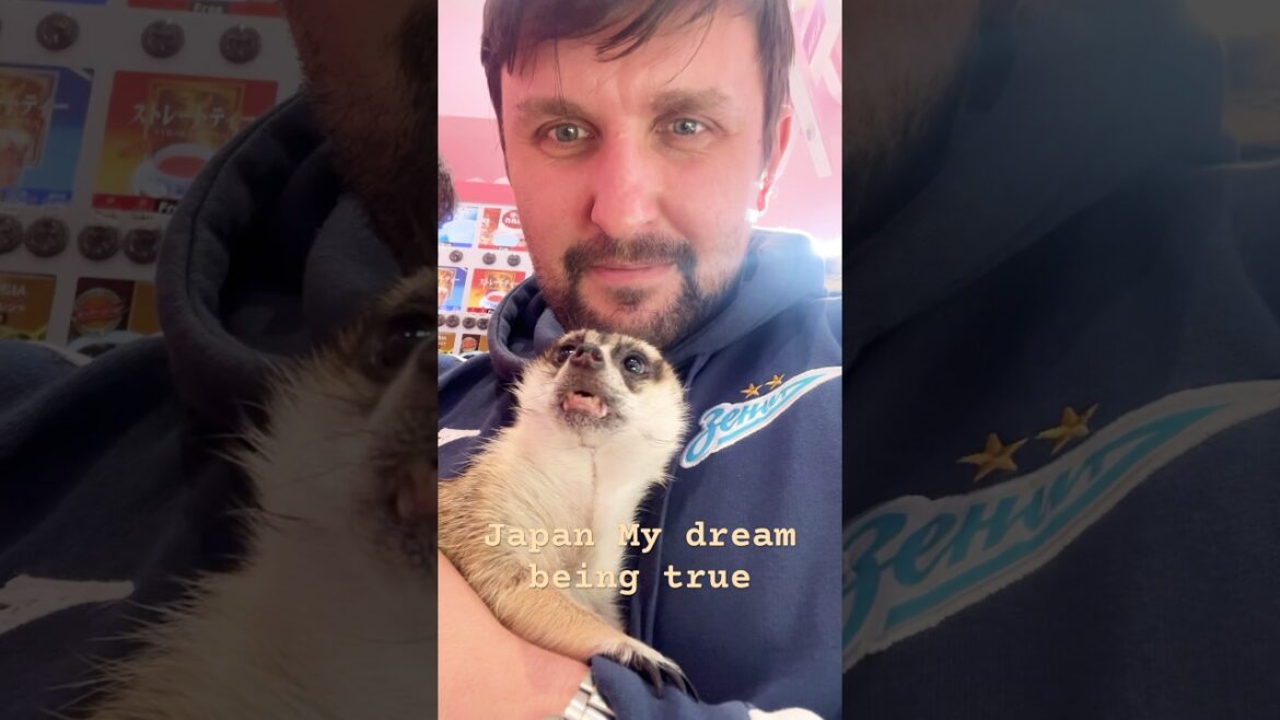 Japan My Dream being true