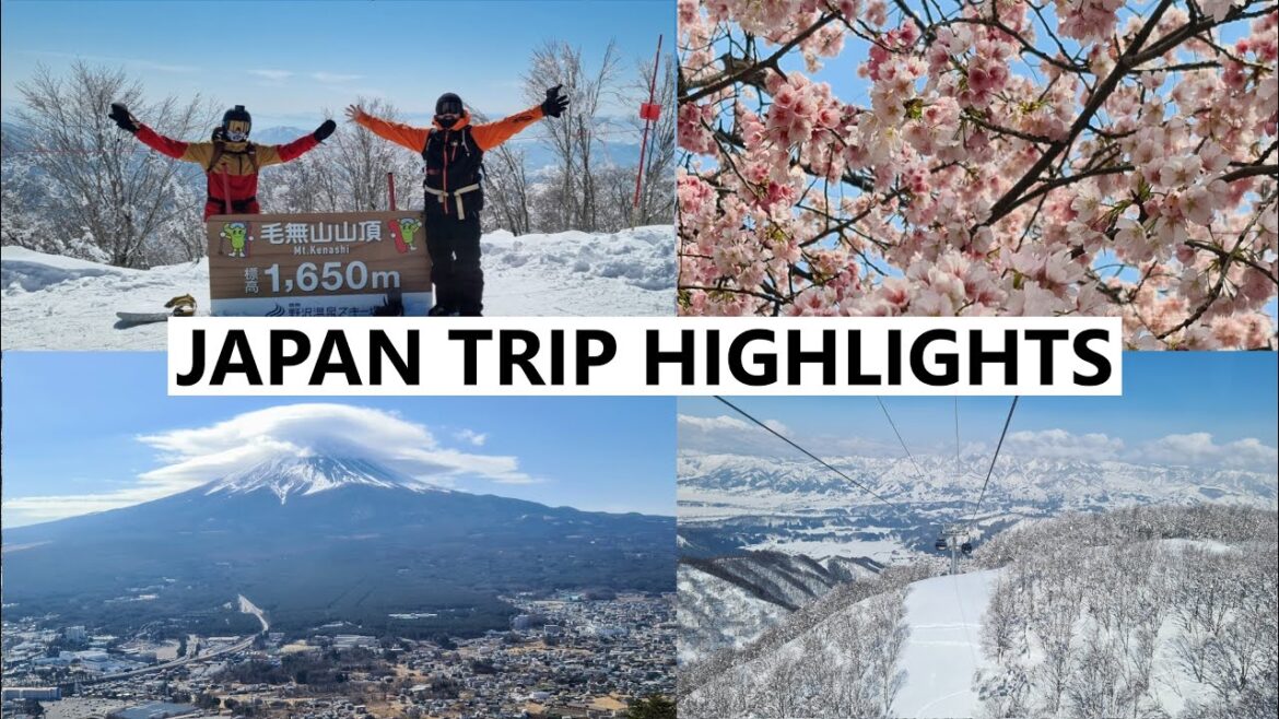 NOZAWA - MT FUJI - TOKYO GALAVANT | We Went Full Ninja On This Trip | 野沢温泉村 日本 JAPAN | Ep 6 2025