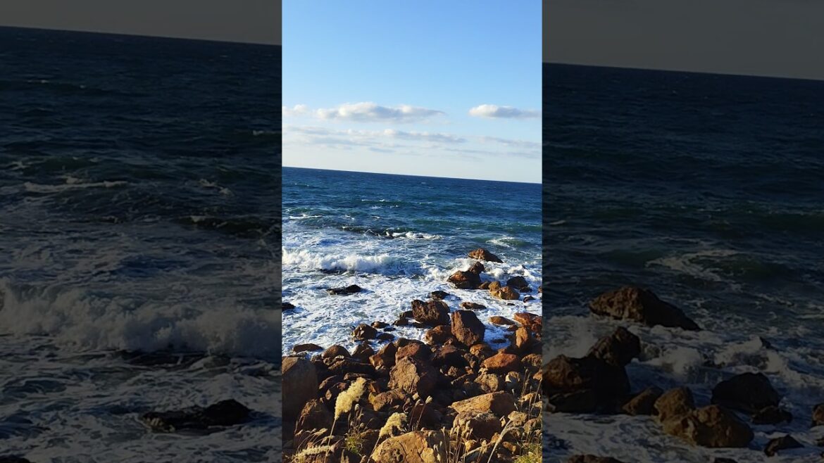 Otamoikaigan In Autumn  #shorts #youtubeshorts #foryou #travel #nature #otaru #hokkaido #japan