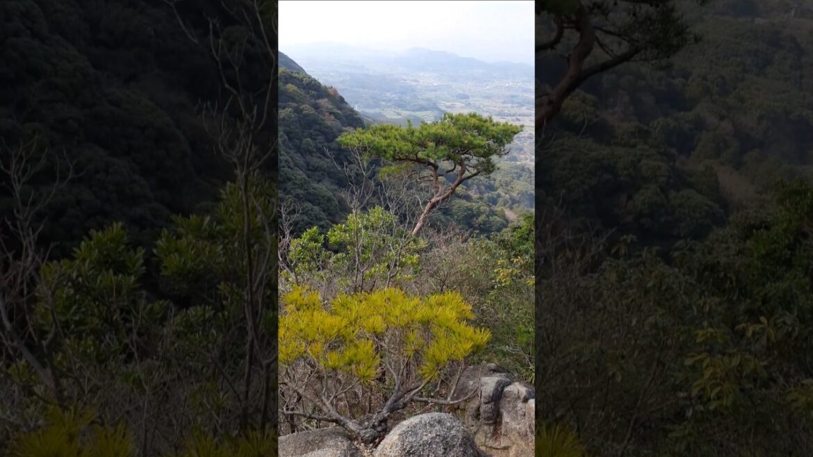山あるある帰りに晴れてくる【福智山】