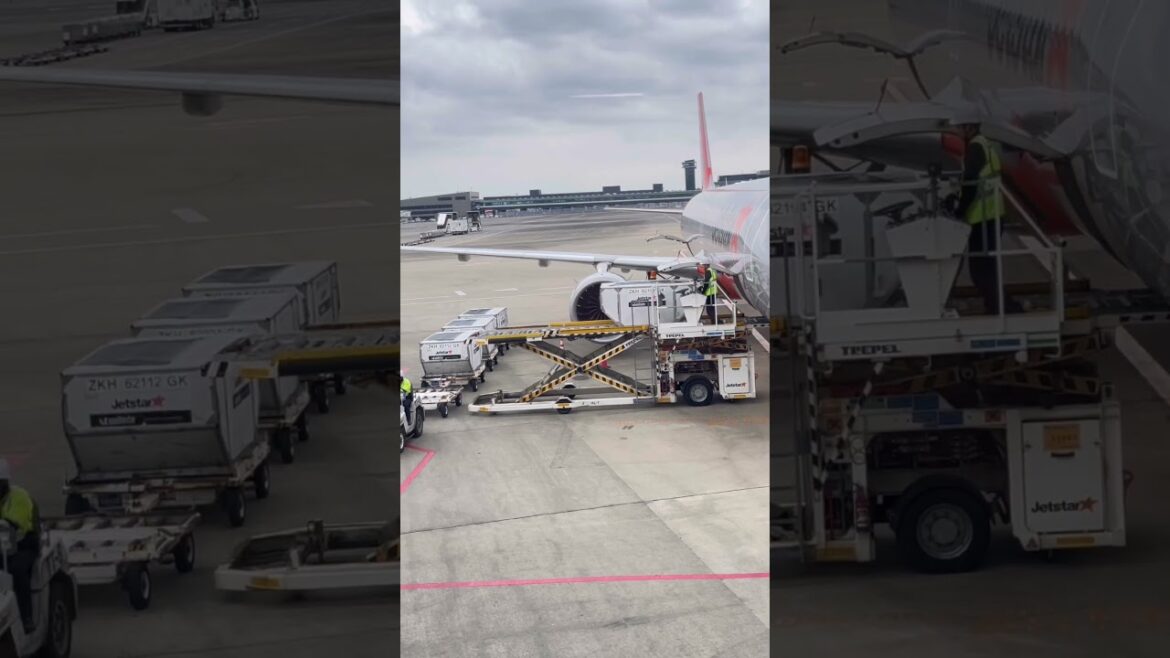 # tokyo Narita airport ❤️ #eurovision #newmusic #travel #airplane #shortvideo @Abishekvlogs2.O