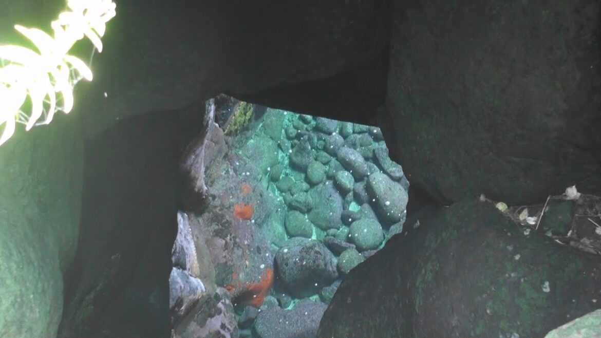 Izu Trip 4 2024 Summer