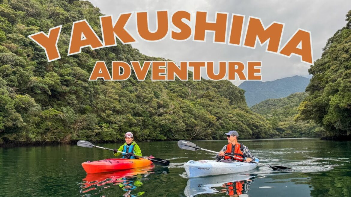 Explore Yakushima: Japan’s Wild Island Paradise | Nature, Hiking & Adventure in Kyushu Explore Yakushima: Japan’s Wild Island Paradise | Nature, Hiking & Adventure in Kyushu