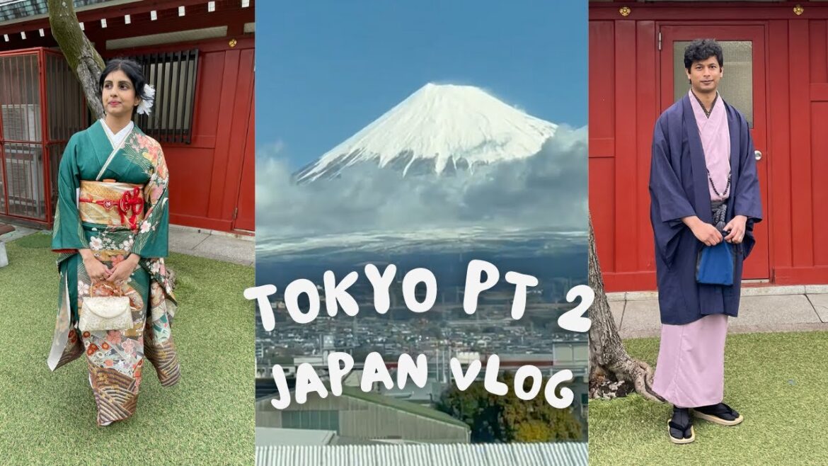 Japan Vlog 🍥 Tokyo Pt. 2, Asakusa, Sensoji Temple, Sushi, Ginza, Don Quijote, Shinkansen, Mt. Fuji🍙