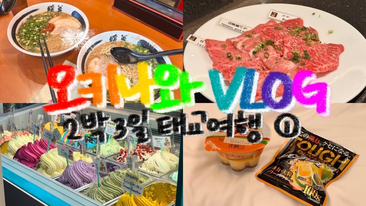 32주 임산부 2박3일 오키나와 태교여행 브이로그 ① – 오달 렌터카, 단보라멘, 지넨 미사키 공원, 국제거리, 야키니쿠 모토부 팜, 폰타나 젤라또, 노보텔 나하 32주 임산부 2박3일 오키나와 태교여행 브이로그 ① - 오달 렌터카, 단보라멘, 지넨 미사키 공원, 국제거리, 야키니쿠 모토부 팜, 폰타나 젤라또, 노보텔 나하