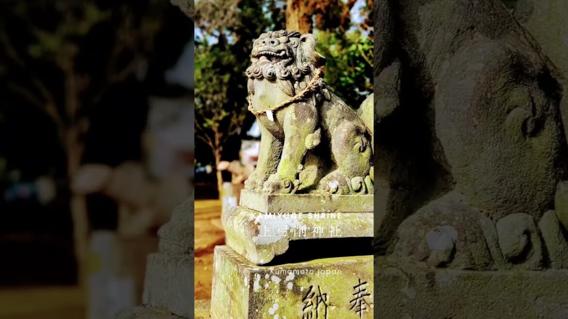 熊本県熊本市東区弓削町【⛩️上弓削神社？#神社参拝 #熊本の神社  #上弓削神社 #japantravel  #kumamototrip #shrine # #九州神社 #弓削神社のアレ