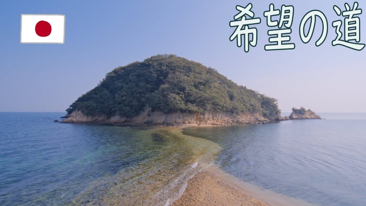 【切り抜き】その名は【希望の道】　小豆島にある絶景