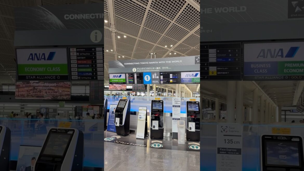 Aeropuerto de Narita ✈️🇯🇵✨
