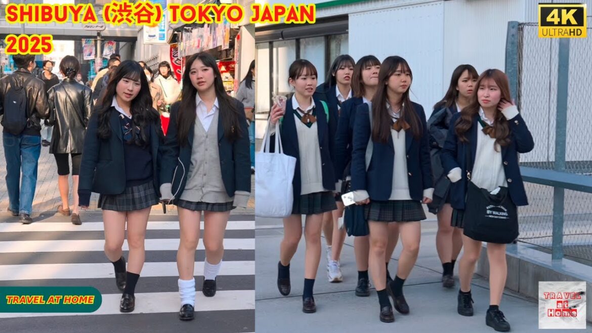 4k hdr Japan travel 2025 | Walk in Shibuya (渋谷) Tokyo Japan |  Relaxing Natural City ambience