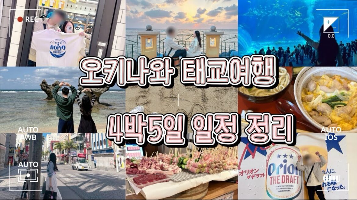 파워j의 오키나와 태교여행 4박5일 일정 총정리✈️📝 파워j의 오키나와 태교여행 4박5일 일정 총정리✈️📝