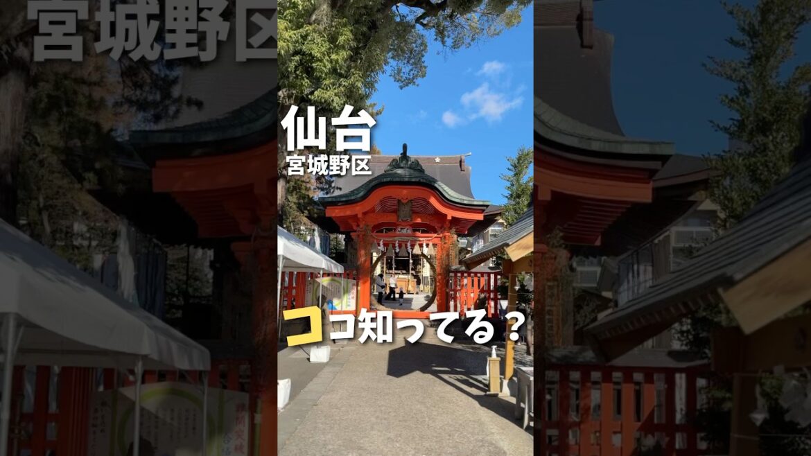 【仙台スポット】学問の神様が宿る神社📝#仙台 #宮城 #仙台旅行 #宮城旅行 #神社 #仙台観光 #宮城観光 #sendai #shrine #japantravel #japan #shorts