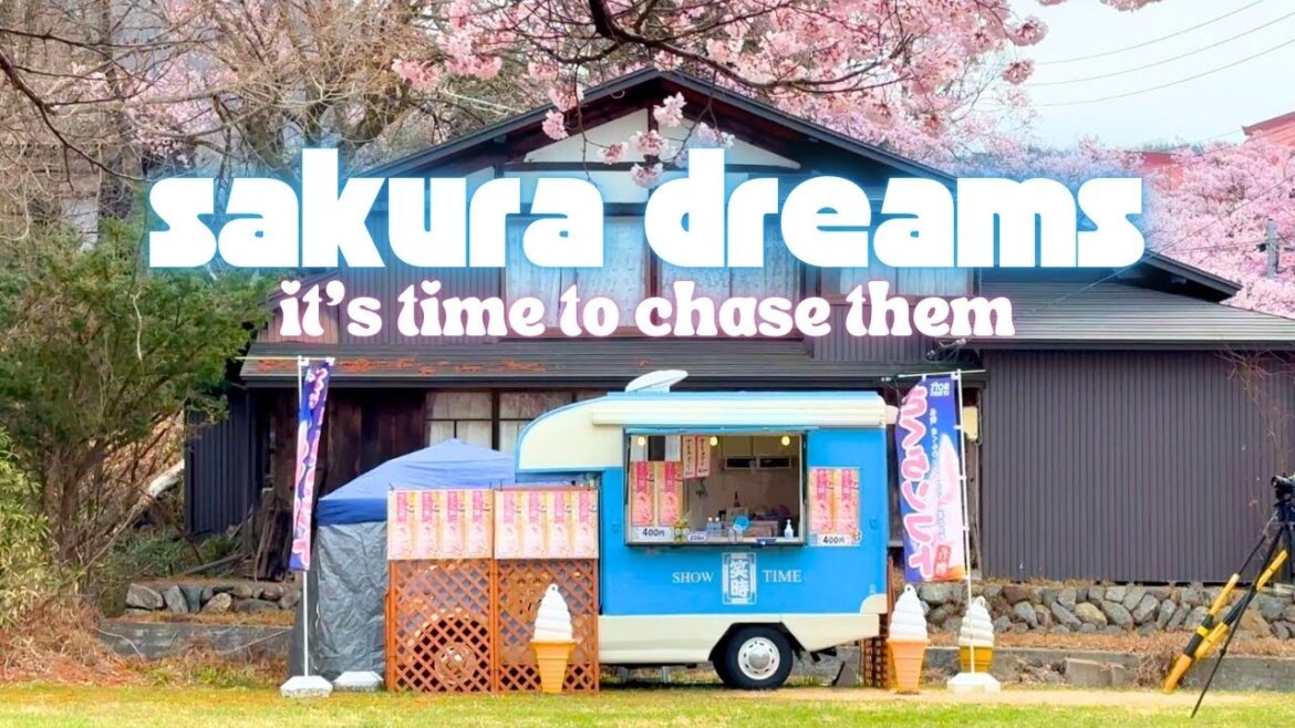 I Traveled For 7 Hours To See These Overrated Flowers