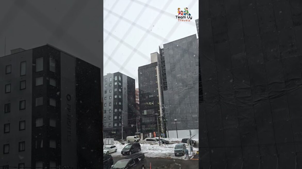 The snow globe effect is happening in #japan#sapporo #hokkaido#otaru #japan #winter #snow