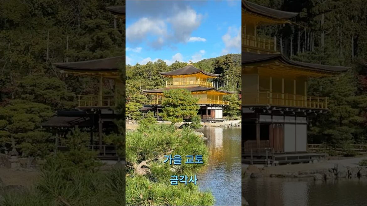 ★SHORTS010 일본 교토의 금각사