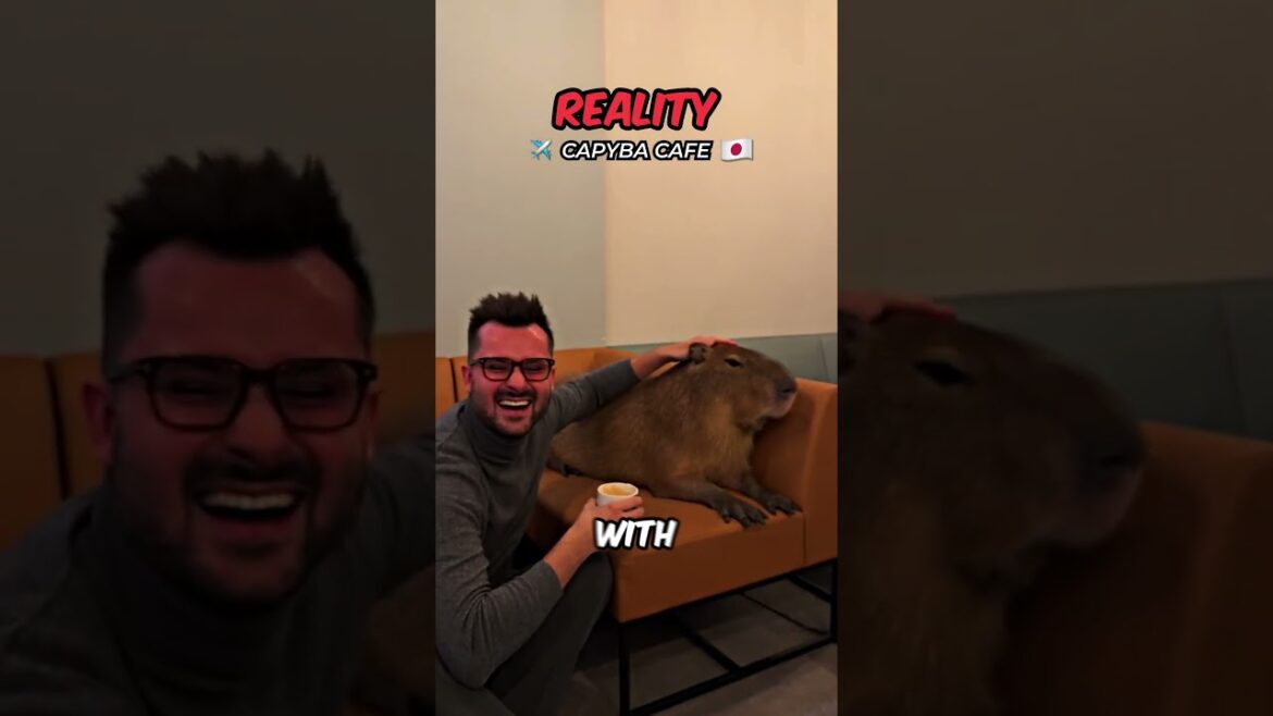 A Café… With CAPYBARAS?!😱