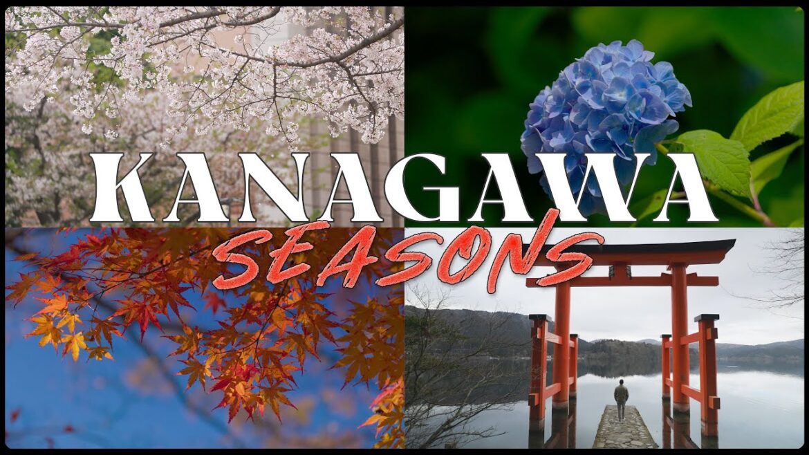Kanagawa Kaleidoscope: Capturing the Colors of Every Season