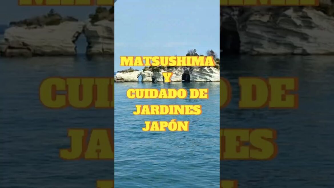 🌊 Matsushima: Belleza Eterna en la Bahía de Miyagi 🏝️