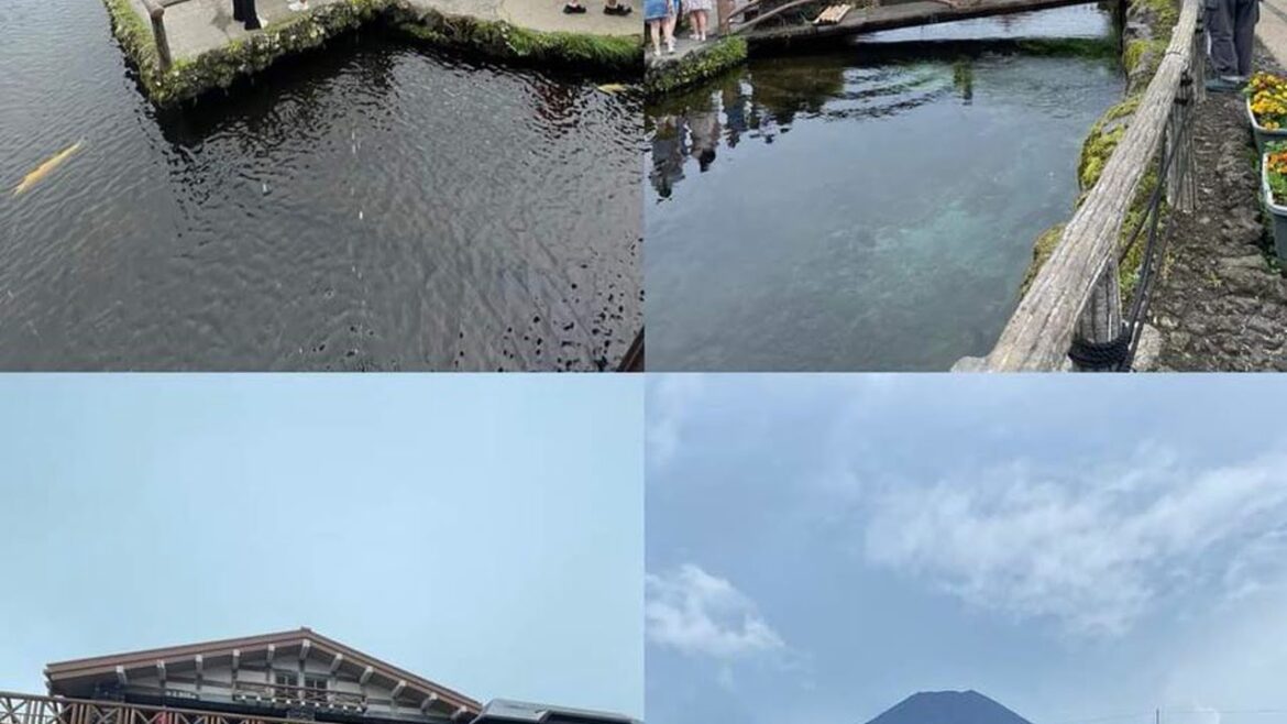 #ReviewActivity #Review Mt Fuji Day Tour from Tokyo with lunch option