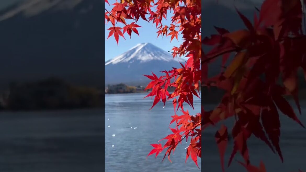 Cycling Around MT FUJI in Autumn is EASIER Than You Think!