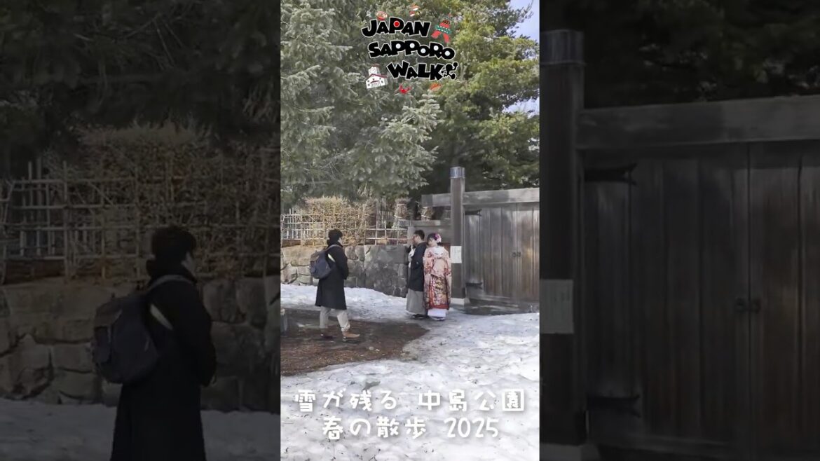 🇯🇵雪が残る 中島公園 春の散歩 2025！#中島公園 #札幌 #北海道 #観光