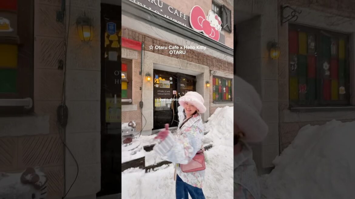 SAPPORO / OTARU DIARY ☆ #sapporo #otaru #japantravel #japanvlog #hellokitty #charactercafe #japan