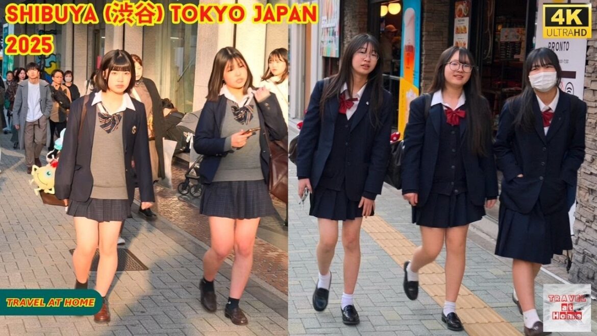4k hdr Japan travel 2025 | Walk in Shibuya (渋谷) Tokyo Japan |  Relaxing Natural City ambience