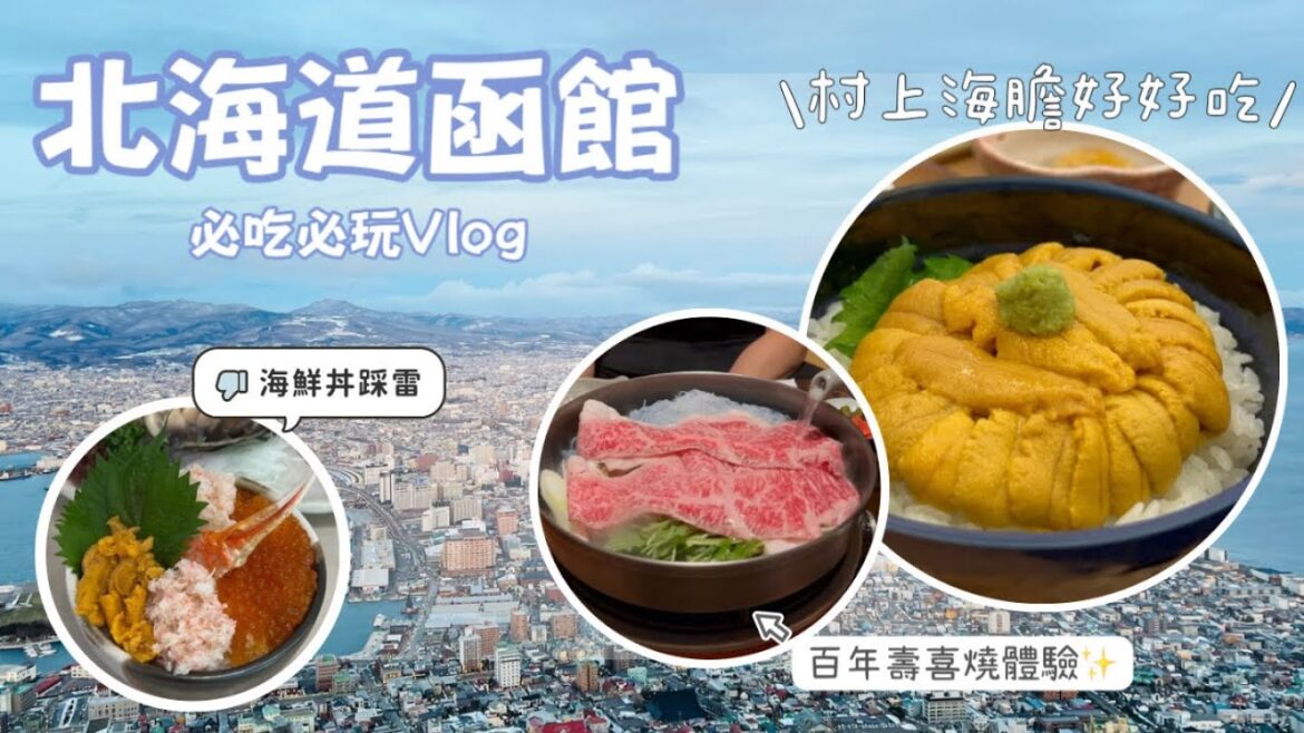 【函館必吃必玩】必吃村上海膽太驚艷｜朝市海鮮丼別亂吃會踩雷！｜泡溫泉的猴子太可愛🐒