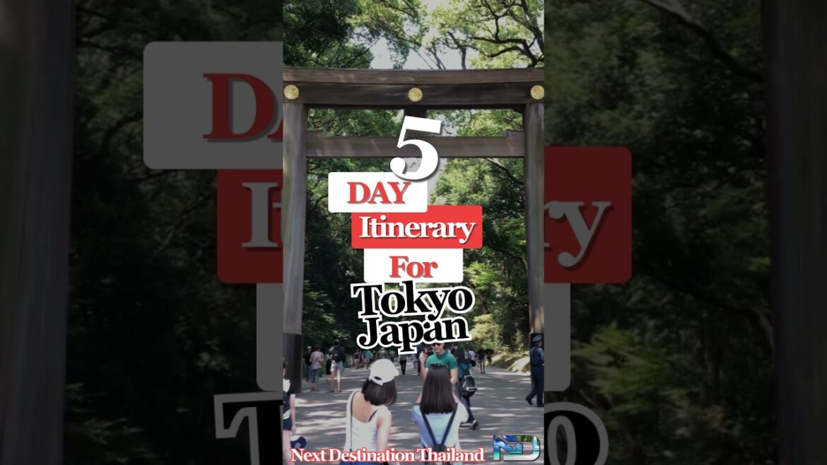 Tokyo in 5 Days: The Perfect Itinerary for First-Timers! Tokyo in 5 Days: The Perfect Itinerary for First-Timers!