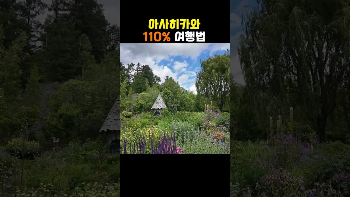 아사히키와 여행법 1분요약