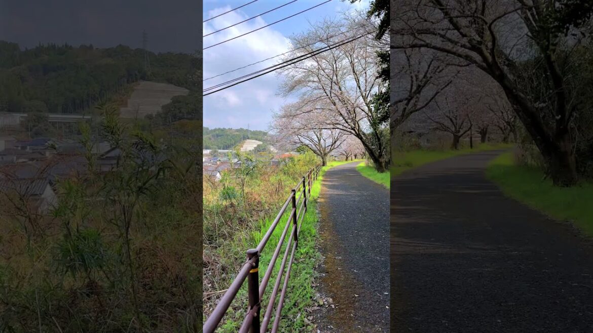 Japanese countryside: Nagano-cho, Minamata City, Japan. #japaneselandscape #travel