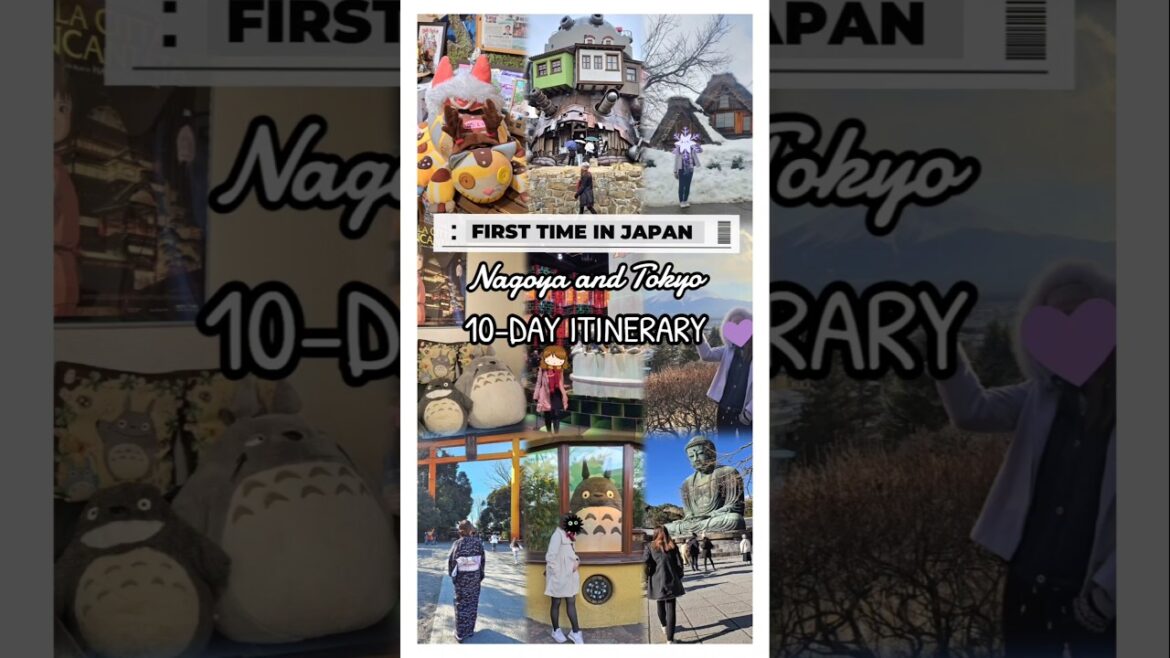 First Time in Japan ❤️ 10-Day Itinerary in Nagoya and Tokyo