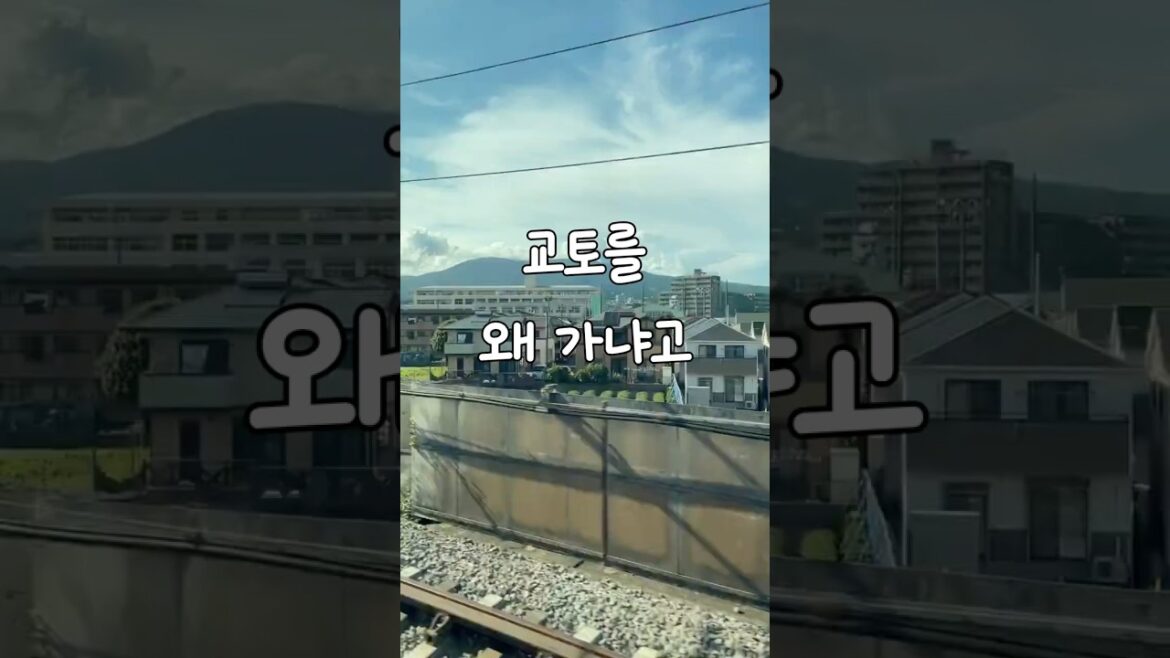 노잼도시 교토?