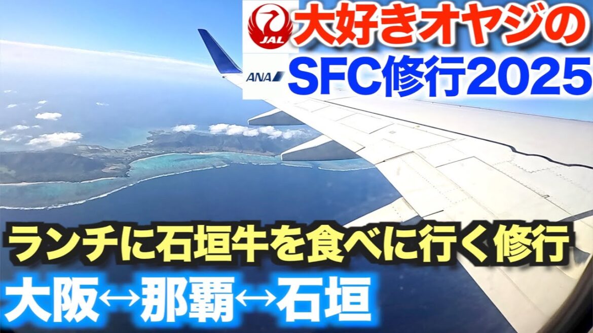 【SFC修行2025】2度目の石垣タッチ修行　ランチに石垣牛を食べに行ってみた 伊丹→那覇→石垣→那覇→関空