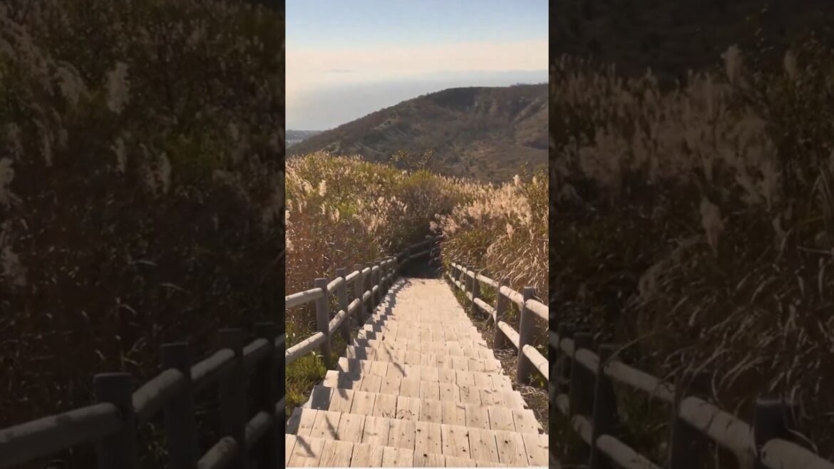 Driving Through Hokkaido’s Hidden Autumn Gem 🚗🇯🇵 #japantravel #slowtravel #asahikawa