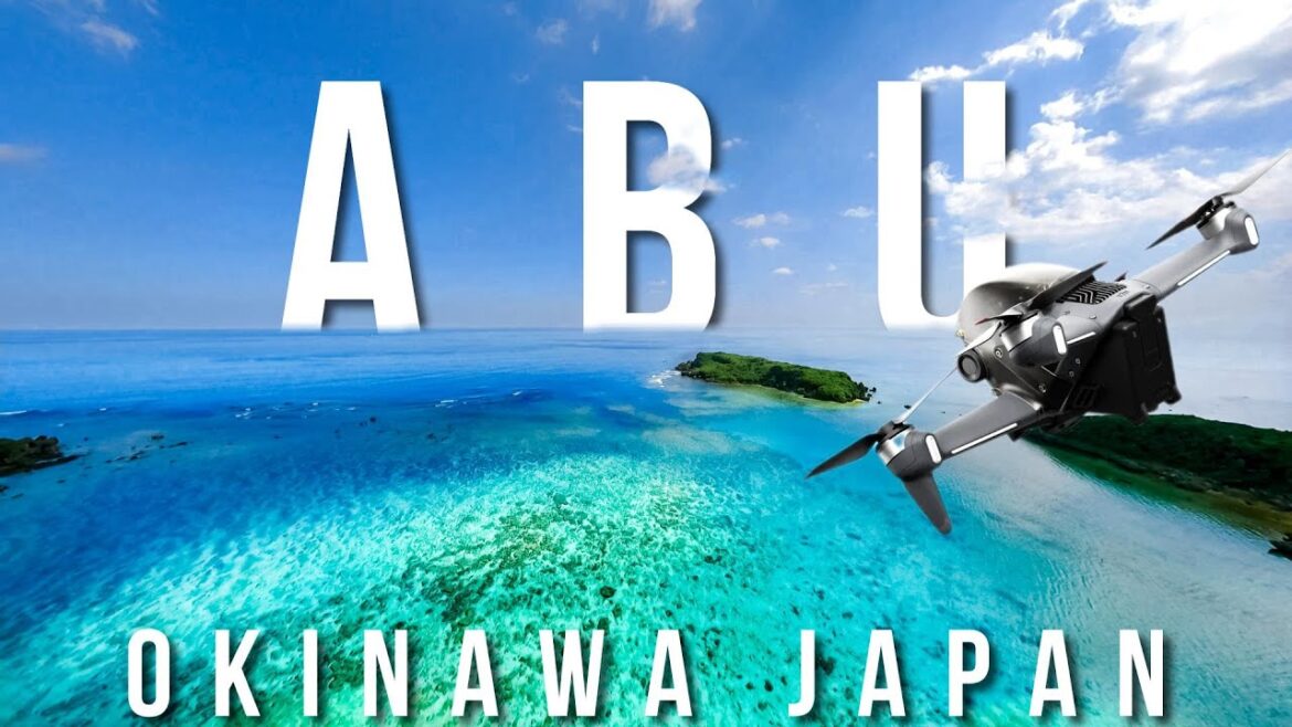 FPV Obsessed Middle-Aged DUDE | From Japan